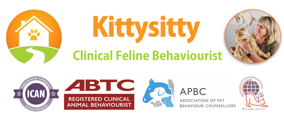 Kittysitty Cat Behaviourist