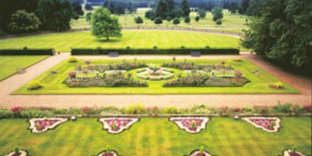Weston at 40 - A Summer Celebration