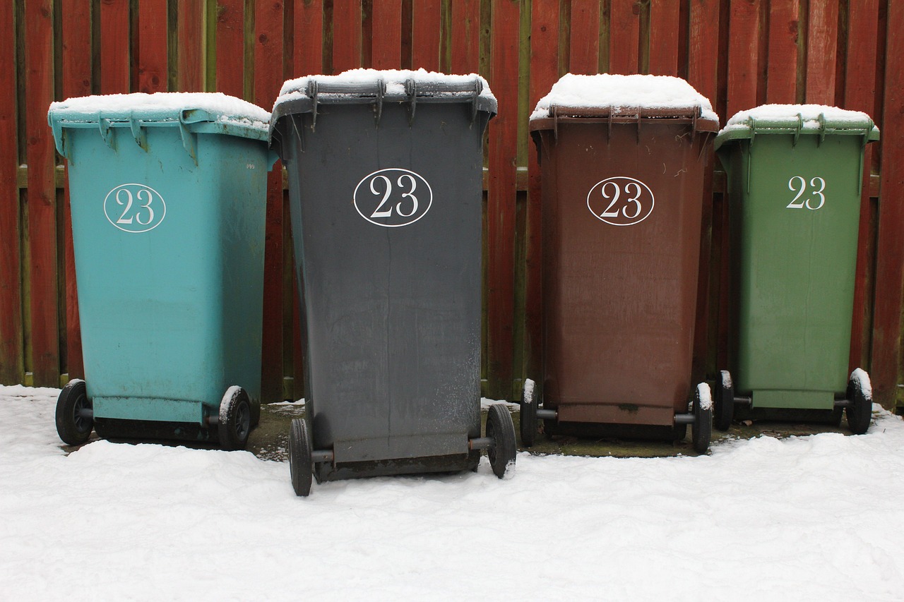 Bin Collection Days