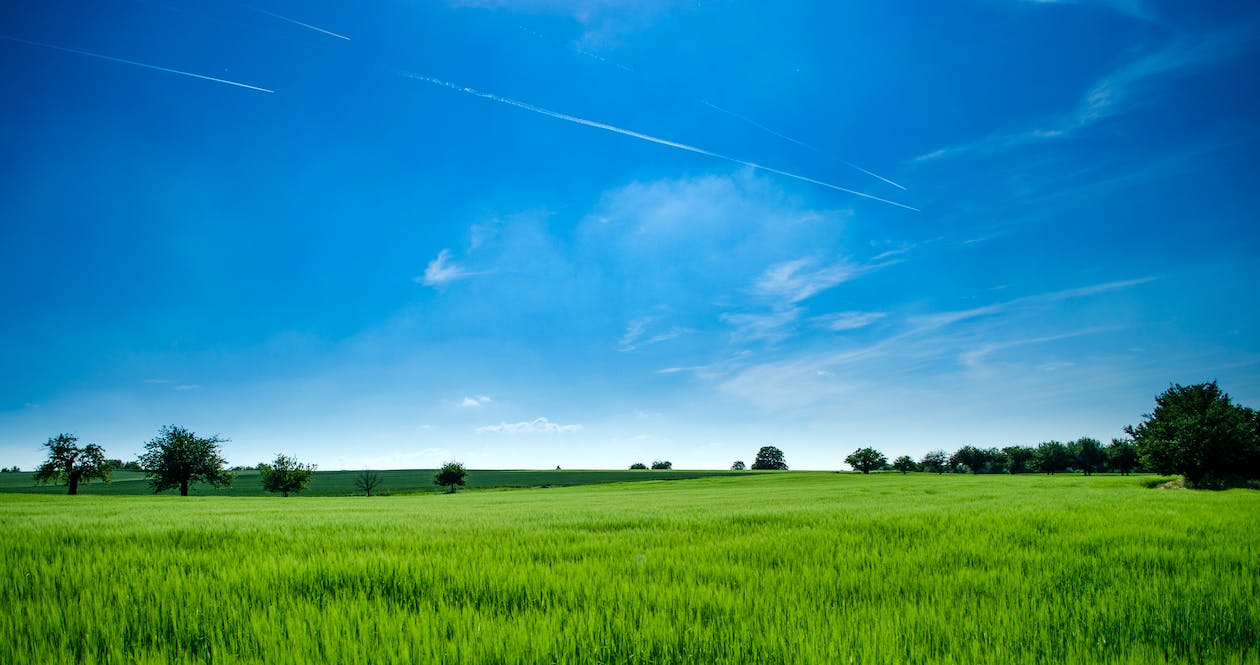 Environment and Planning