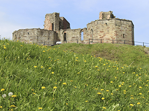 Stafford Castle